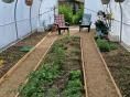 Serre de jardin 4 x 9m (36m2) - Forme tunnel - Resist Plus