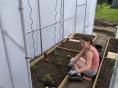 Serre de jardin 2,30 x 3,60m (8m2)  - Forme bords droits - Résist 