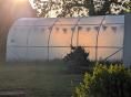 Serre de jardin  3 x 6m (18m2)  - Forme tunnel - Résist