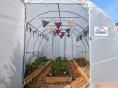 Serre de jardin  3 x 6m (18m2)  - Forme tunnel - Résist