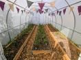 Serre de jardin  3 x 6m (18m2)  - Forme tunnel - Résist