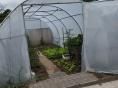 Serre de jardin 3 x 6m (18m2) - Forme tunnel - Resist Eco