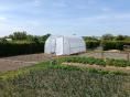 Serre tunnel  3 x 6m (18m2)  -  Résist