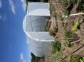 Serre tunnel  3 x 6m (18m2)  -  Résist