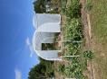 Serre tunnel  3 x 6m (18m2)  -  Résist