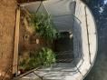 Serre de jardin 2,30 x 3,60m (8m2)  - Forme bords droits - Résist 