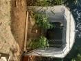 Serre de jardin 2,30 x 3,60m (8m2)  - Forme bords droits - Résist 