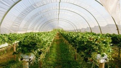 Blog : Comment tendre une bâche de serre ?