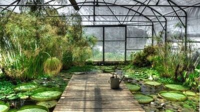Blog : Les 5 éléments indispensables pour bien aménager sa serre de jardin