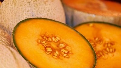 Blog : Pourquoi et comment cultiver du melon sous serre ?
