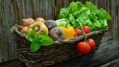 Blog : Quels légumes peut-on cultiver sous serre ?