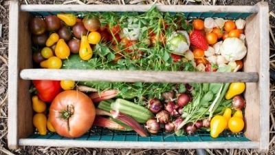 Légumes à planter en mars