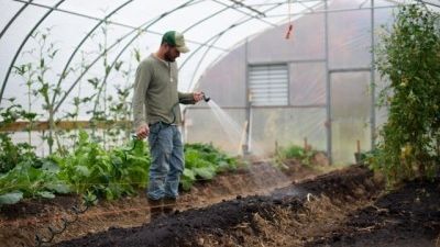 Comment enrichir la terre de sa serre ?