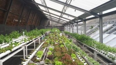 Blog : Comment rendre sa serre de jardin résistante au vent ? 