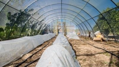 Comment monter un tunnel agricole ?