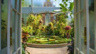 Blog : Comment ventiler et aérer efficacement une serre de jardin pour une meilleure croissance des plantes