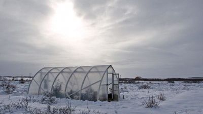 Serre jardin d'hiver, comment protéger son jardin du gel ?