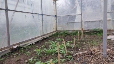 Comment fabriquer une serre de jardin à moindre coût ?