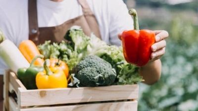 Quels légumes peut-on cultiver sous serre ?