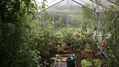 Los beneficios de tener un invernadero de jardín en casa