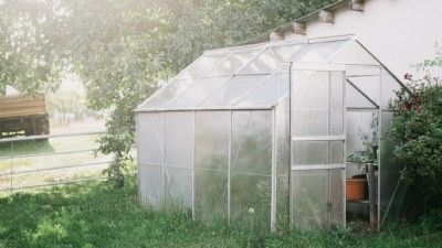 Historia de los invernaderos de jardín: de la antigüedad a nuestros días