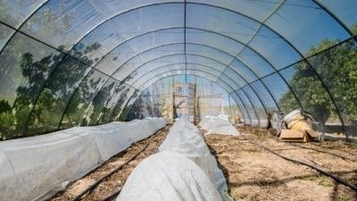 Invernaderos de jardín sostenibles : cómo cultivar de forma ecoamigable 