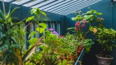 Invernaderos de jardín y jardinería urbana : una combinación perfecta
