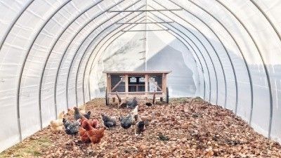 ¿Cómo se hace un gallinero de acero galvanizado? 