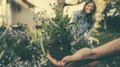 Consejos para cuidar su invernadero de jardín y mantenerlo en perfecto estado 