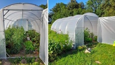 Quels sont les avantages et inconvénients de la culture sous serre de jardin ?
