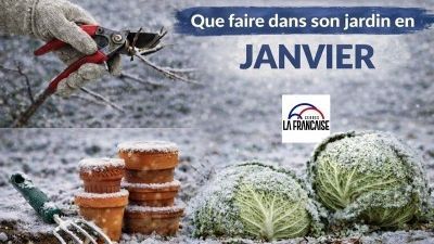 Que faire au jardin en janvier ?