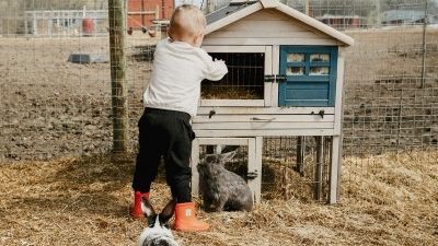 Clapier lapin extérieur : clapier ou enclos, que choisir ?
