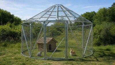 Idée enclos lapin extérieur : aménagement, taille et sécurité