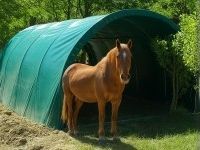 Abris chevaux