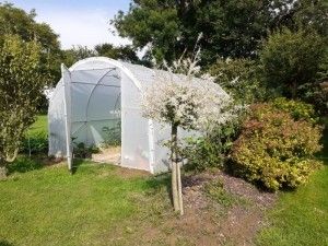 Serres de jardin