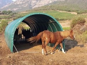 Tunnel de stockage agricole