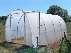 Serre tunnel largeur 3 mètres