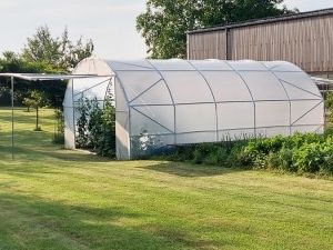 Serre tunnel largeur 5 mètres