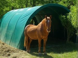 Abris chevaux