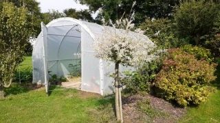 Serres de jardin