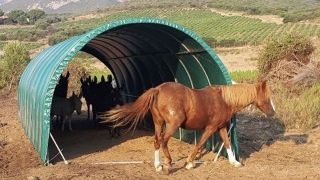 Tunnel de stockage agricole Serres la Française