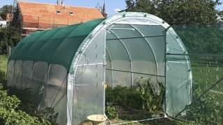 Serre tunnel de jardin