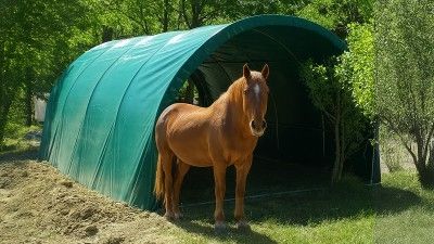 Abris chevaux