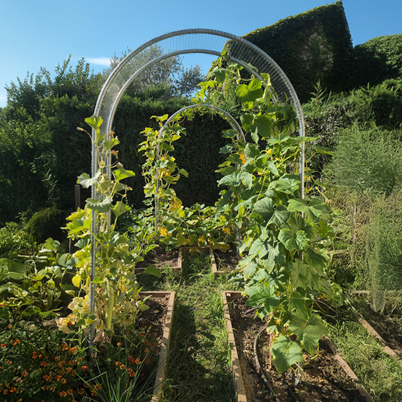 Arche de jardin en acier galvanisé au-dessus d'un potager