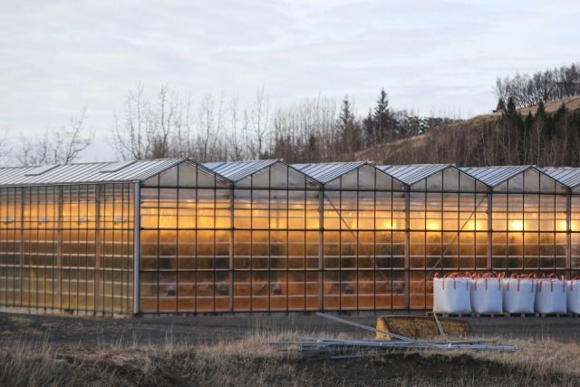 Serre qui chauffe en hiver
