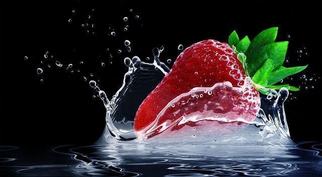 cultiver fraises sous une serre de jardin
