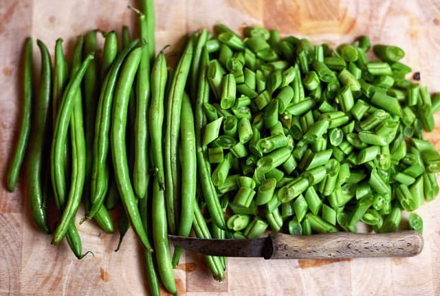 cultiver haricot vert sous serre de jardin