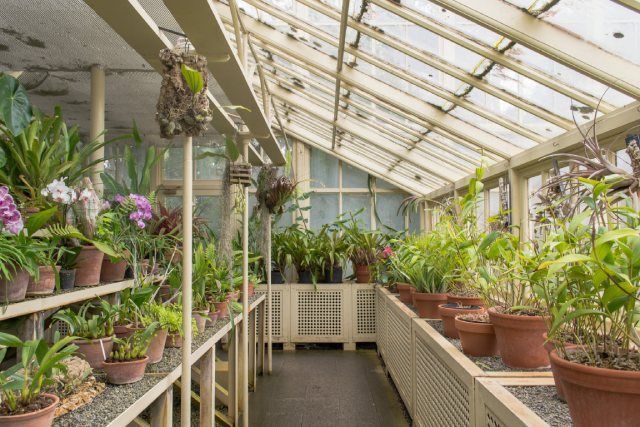 étagères avec des plantes