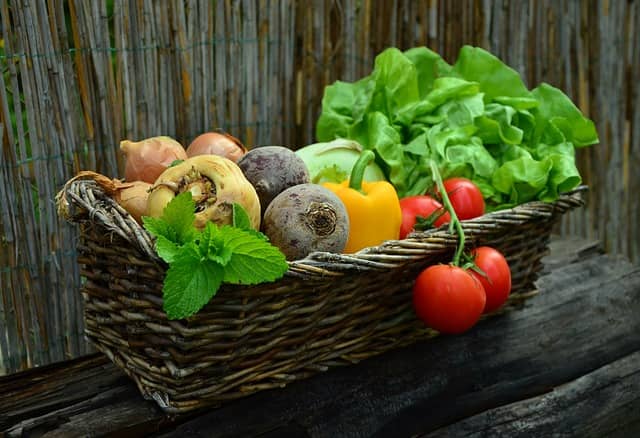 cultiver légumes sous serre de jardin