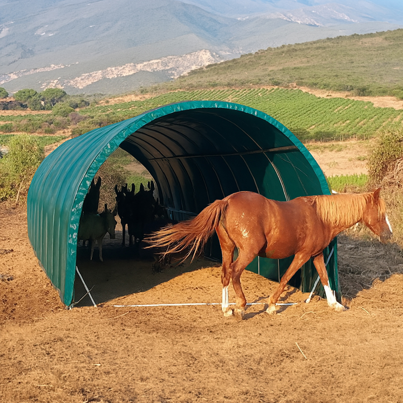 Cheval et ânes sous un abris chevaux 3 m Résist